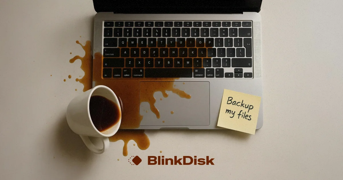 BlinkDisk product thumbnail showing backup interface