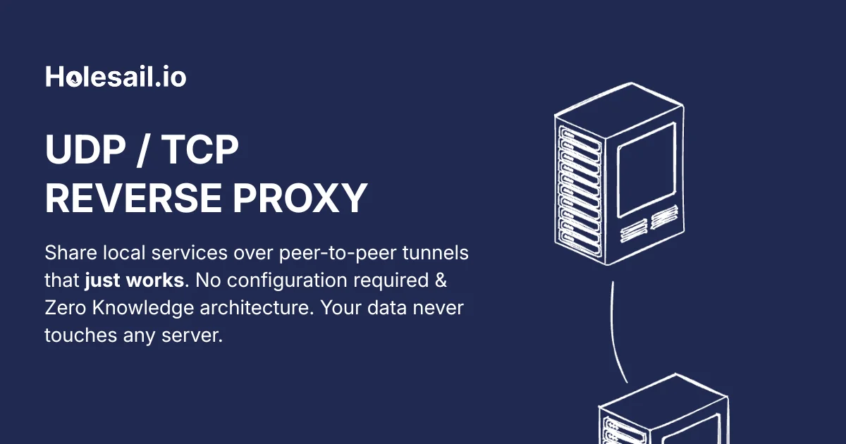 Holesail P2P Reverse Proxy product thumbnail